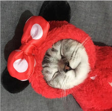 Load image into Gallery viewer, Cat Clothes cute Kitten Cat Clothing for Halloween Party  Pet transform Costume Cat Cosplay  Clothes
