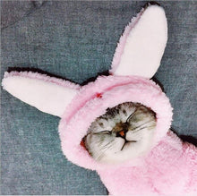 Load image into Gallery viewer, Cat Clothes cute Kitten Cat Clothing for Halloween Party  Pet transform Costume Cat Cosplay  Clothes
