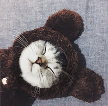 Load image into Gallery viewer, Cat Clothes cute Kitten Cat Clothing for Halloween Party  Pet transform Costume Cat Cosplay  Clothes
